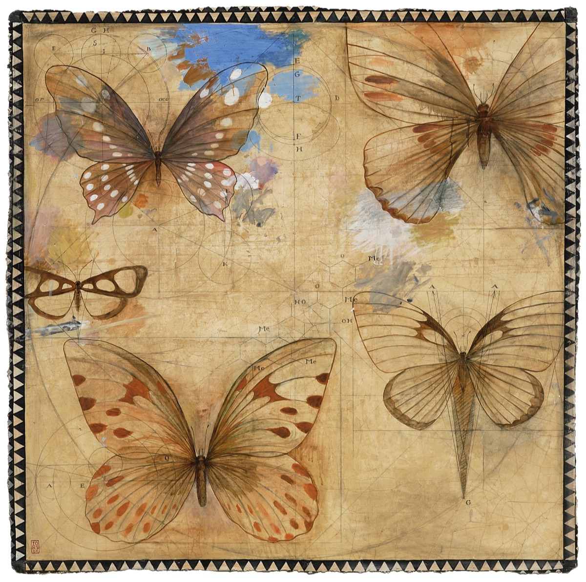 Papillons, 2001 - 160 x 160 cm